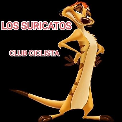 Logo CC LOS SURICATOS